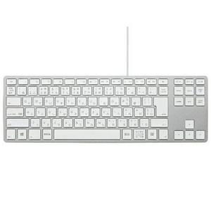 Wired Aluminum Tenkeyless keyboard for PC FK308PCS-JP シルバー