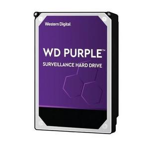 WD Purple WD102PURZ
